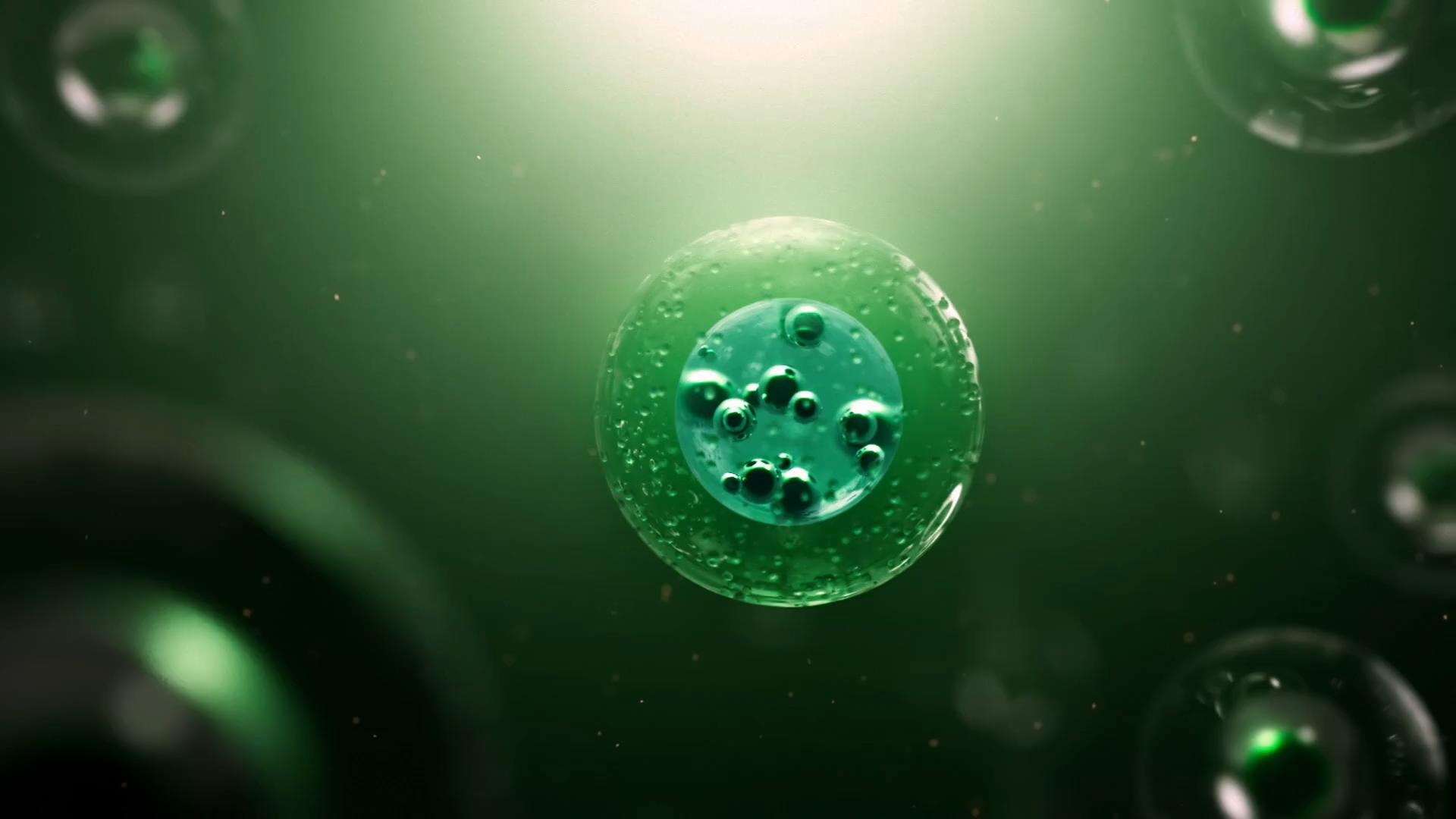 3D Animation - Virtual Reality - Interactive Videos - Metaverse